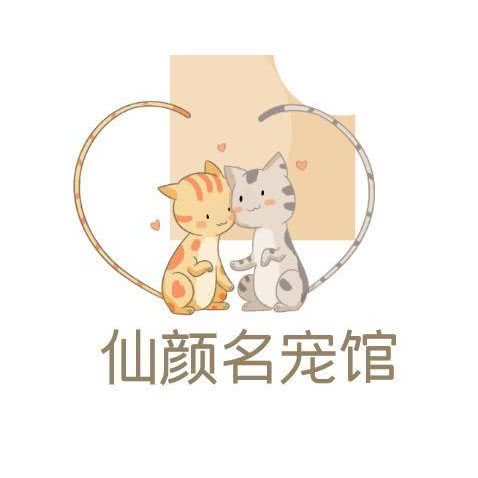 仙颜名猫馆(七街店):安庆市宜秀区