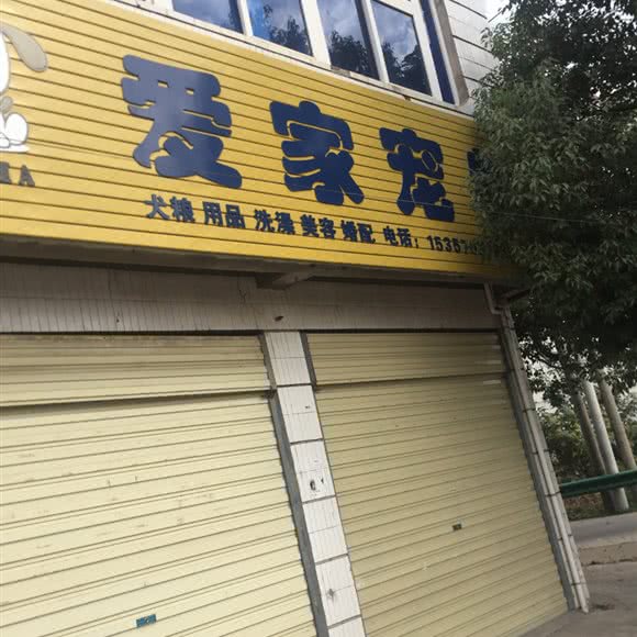 爱家宠物:安庆市怀宁县