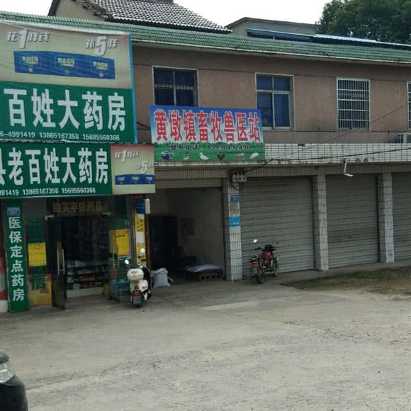 黄墩镇兽医站:安庆市怀宁县