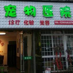 童济宠物医院:安庆市太湖县