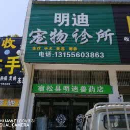 明迪宠物诊所:安庆市宿松县