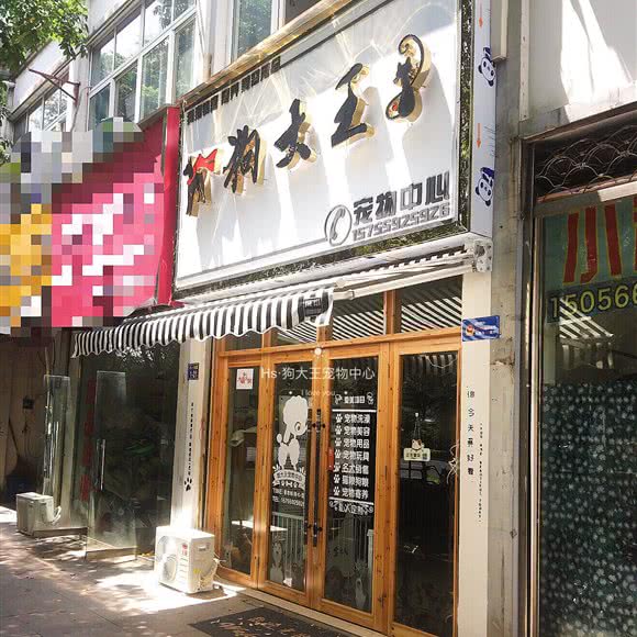 狗大王宠物中心:黄山市屯溪区