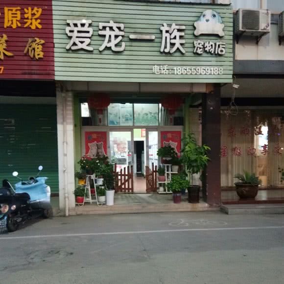 爱宠一族宠物店:黄山市歙县