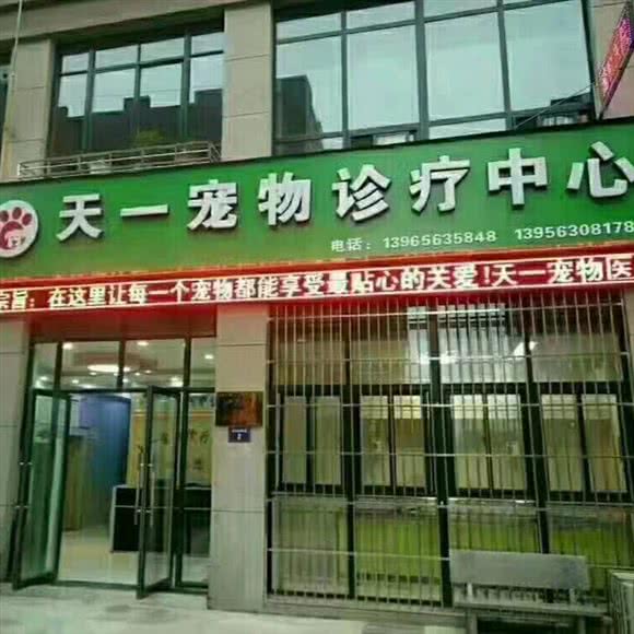 天一宠物医院:滁州市琅琊区