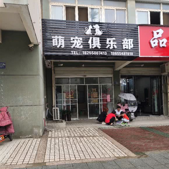 萌宠俱乐部:滁州市凤阳县
