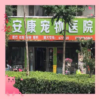 安康宠物医院:滁州市凤阳县