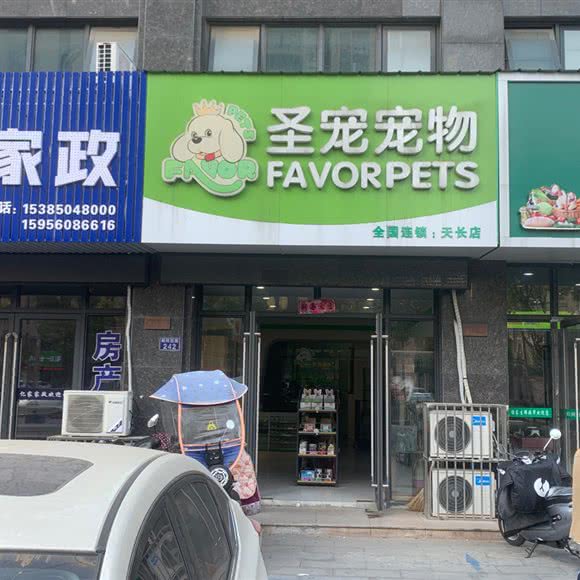 圣宠宠物(天长店):滁州市天长市