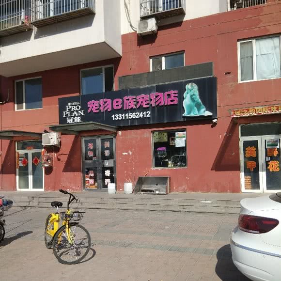 宠物e族咖啡店:北京城区朝阳区东坝附近