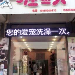 喵星人与汪星人:滁州市明光市