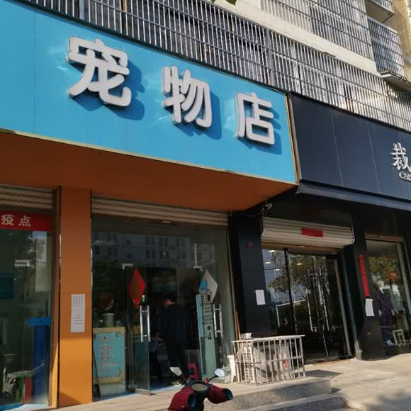 宠物店:阜阳市临泉县