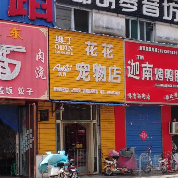 花花宠物店:临汾市尧都区体育街附近