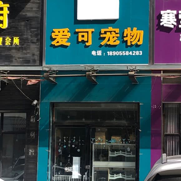 爱可宠物:阜阳市颍上县