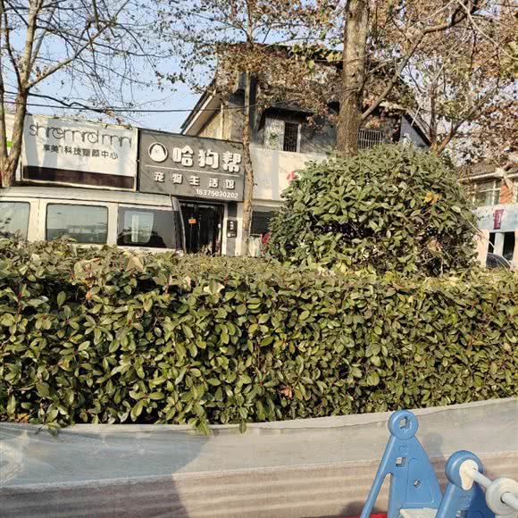 哈狗帮宠物生活馆:阜阳市颍上县