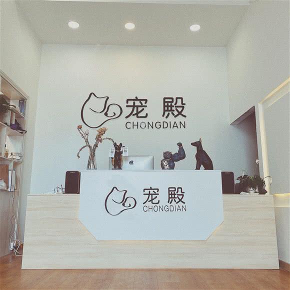 宠殿宠物店:阜阳市界首市