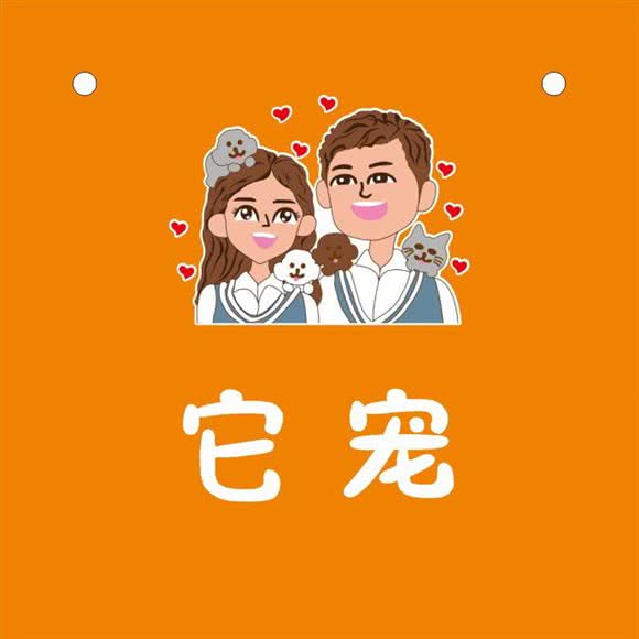 它宠宠物店:宿州市埇桥区