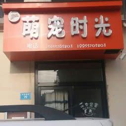 萌宠时光:宿州市埇桥区