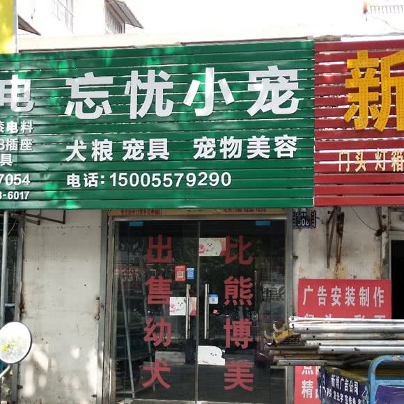 忘忧小宠:宿州市埇桥区