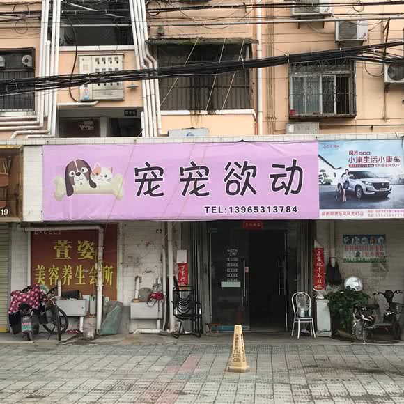 宠宠欲动:宿州市埇桥区