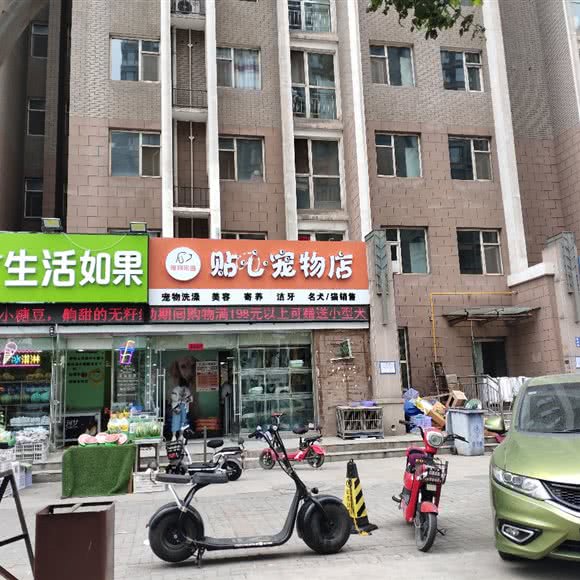 贴心宠物店:临汾市尧都区尧贤街附近