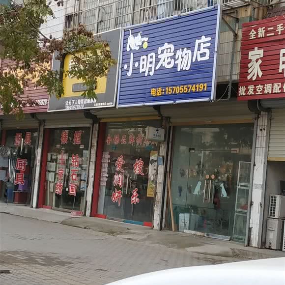 小明宠物店:宿州市砀山县