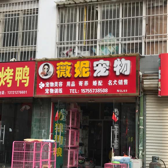 薇妮宠物:宿州市砀山县