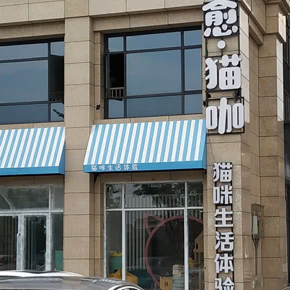 愈.猫咖:宿州市砀山县