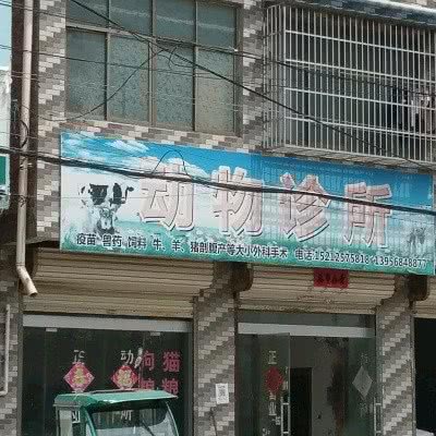 动物诊所:宿州市砀山县