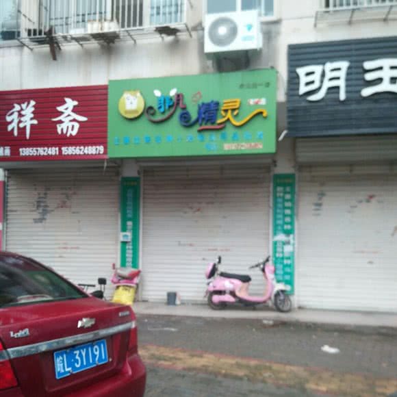非凡精灵宠物店(钟馗路一店):宿州市灵璧县