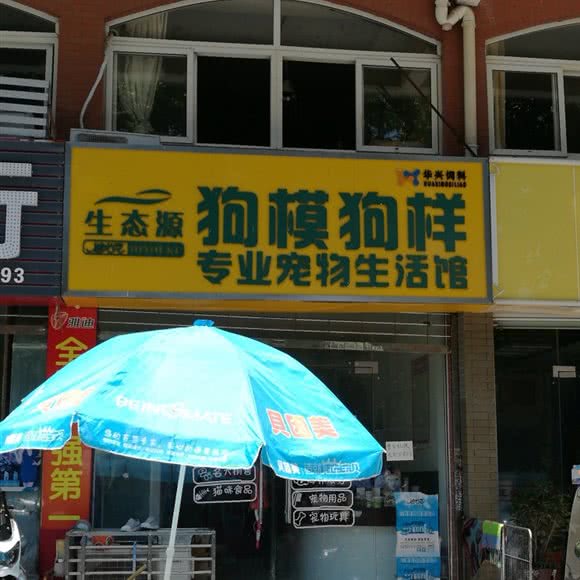 生态源狗模狗样专业宠物生活馆:六安市金安区