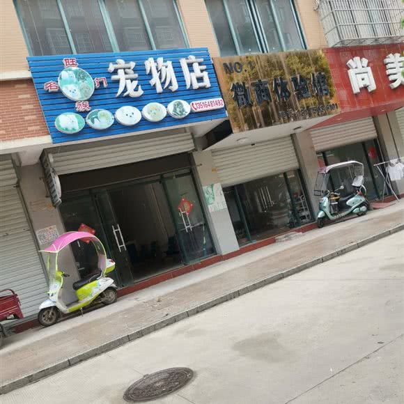 旺门名族宠物店:六安市裕安区