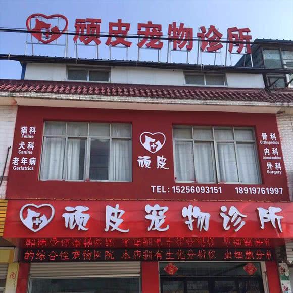 调皮宠物医院:六安市霍邱县