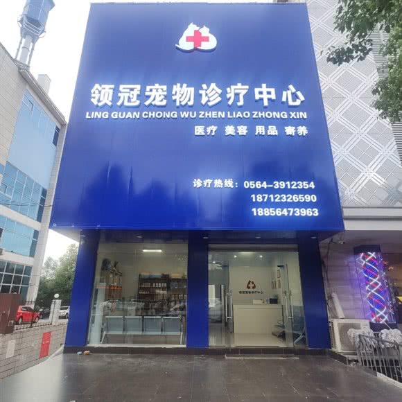 领冠宠物诊疗中心:六安市霍山县