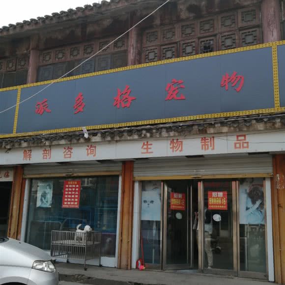 派多格宠物(亳州店):亳州市谯城区
