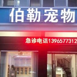 伯勒狗狗生活馆:亳州市涡阳县
