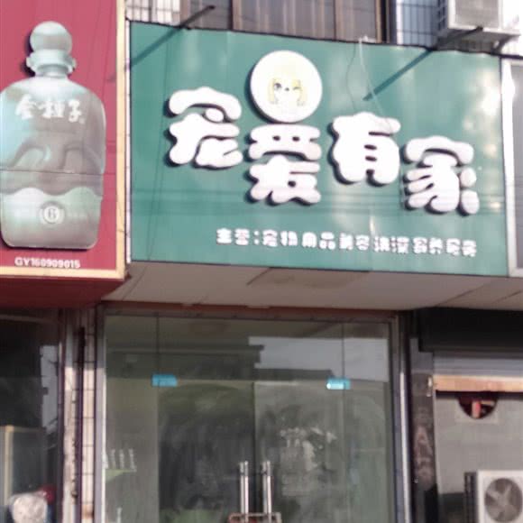宠爱有家(交通路店):亳州市涡阳县