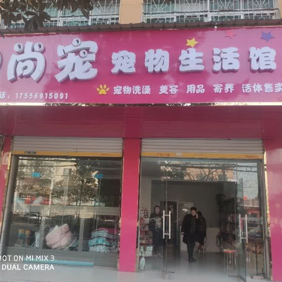 尚宠·宠物生活馆(东城分店):亳州市蒙城县