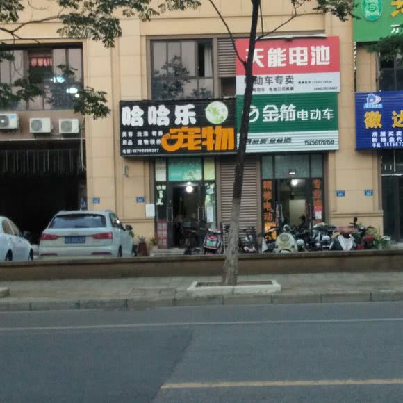 哈哈乐宠物:亳州市蒙城县