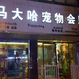 马大哈宠物会所:亳州市蒙城县