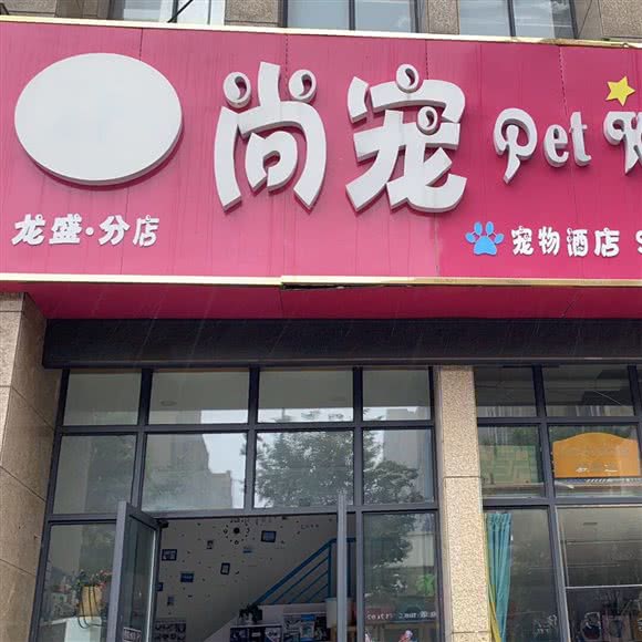 尚宠宠物王国(龙盛·分店):亳州市蒙城县