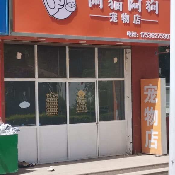 阿猫阿狗宠物店:临汾市尧都区临纺附近