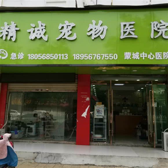 精诚宠物医院蒙城中心医院:亳州市蒙城县