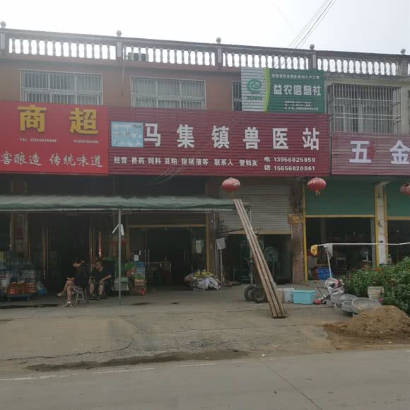 马集镇兽医站:亳州市蒙城县