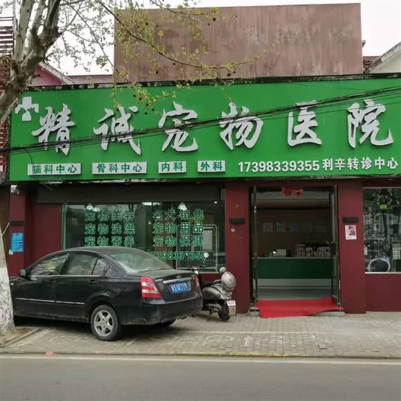 精诚宠物医院:亳州市利辛县