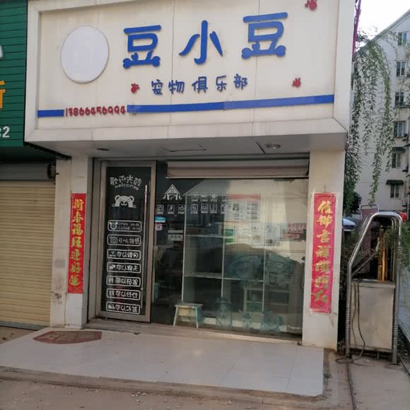 豆小豆宠物俱乐部:池州市贵池区