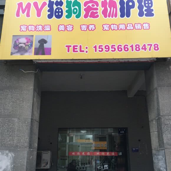 my猫狗宠物护理:池州市贵池区