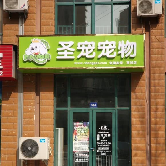 圣宠宠物狗:宣城市宣州区