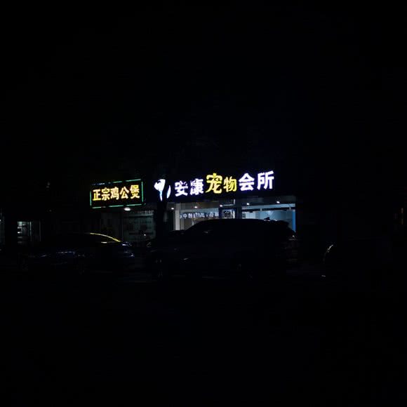 安康宠物会所:宣城市郎溪县