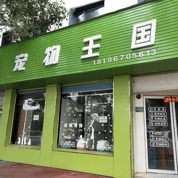 KK宠物王国:宣城市宁国市
