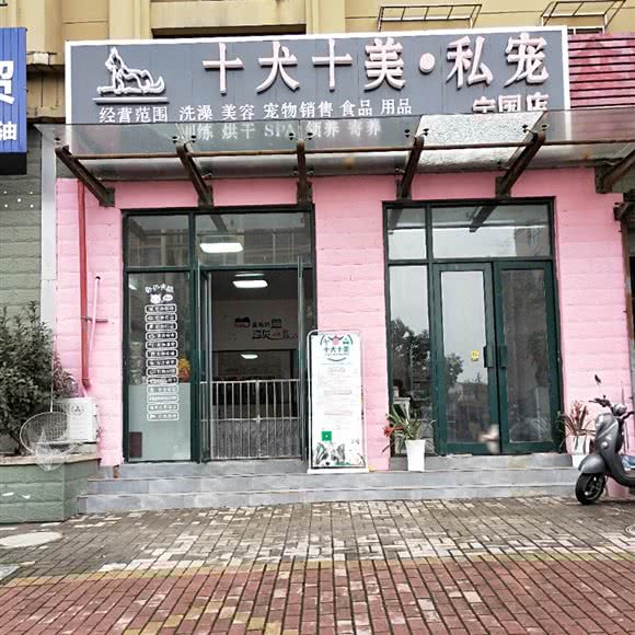 十犬十美·私宠(宁国店):宣城市宁国市