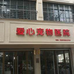爱心宠物医院(中溪北路店):宣城市宁国市